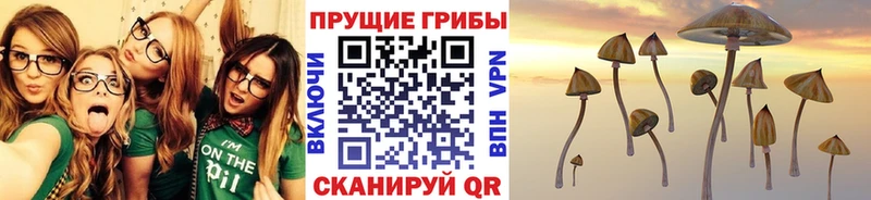 Галлюциногенные грибы Cubensis  MEGA вход  Динская  купить наркоту 